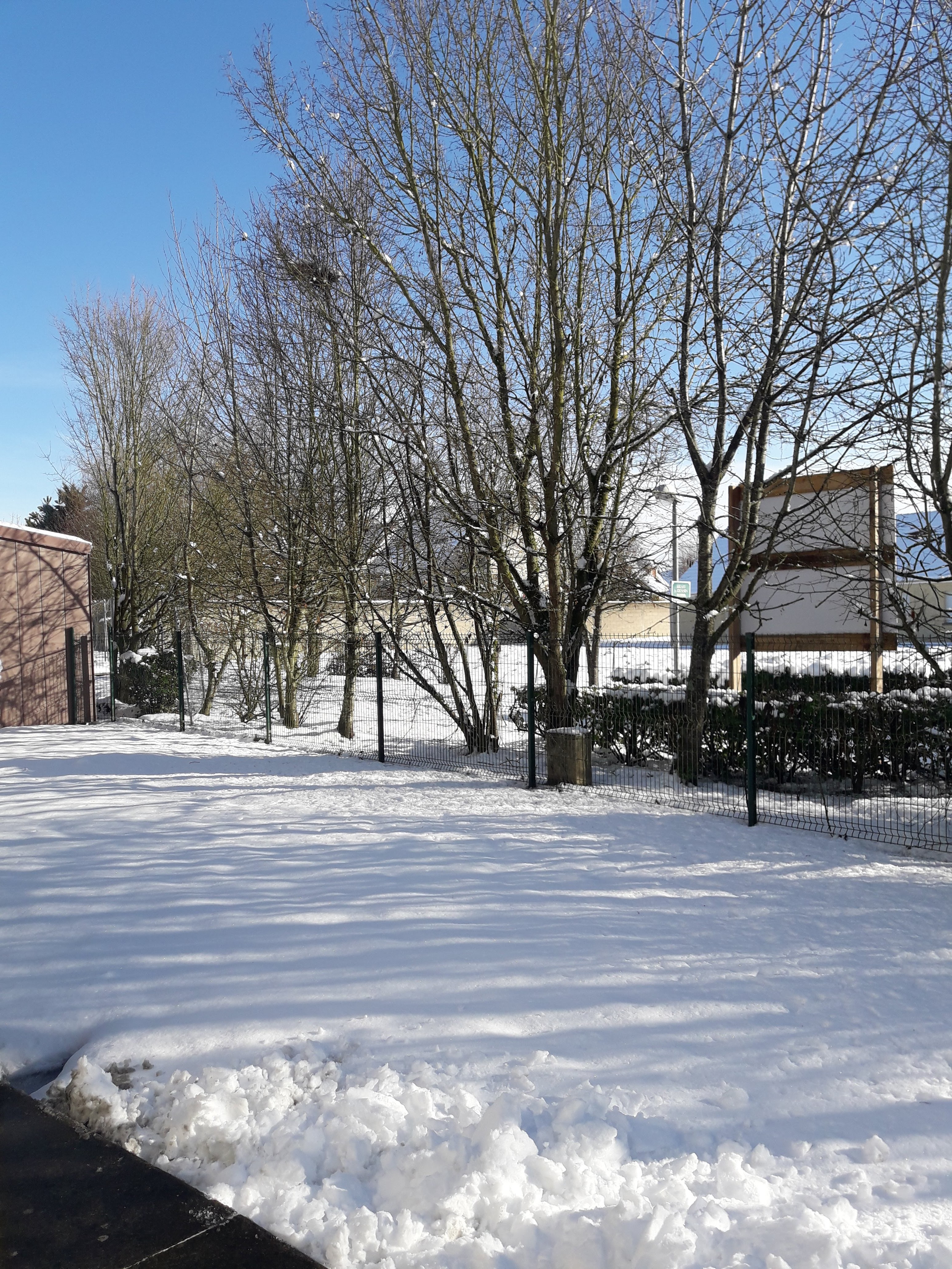 Photo n° 1 de l'avis de jose.l fait le 06/02/2019 à 06:45