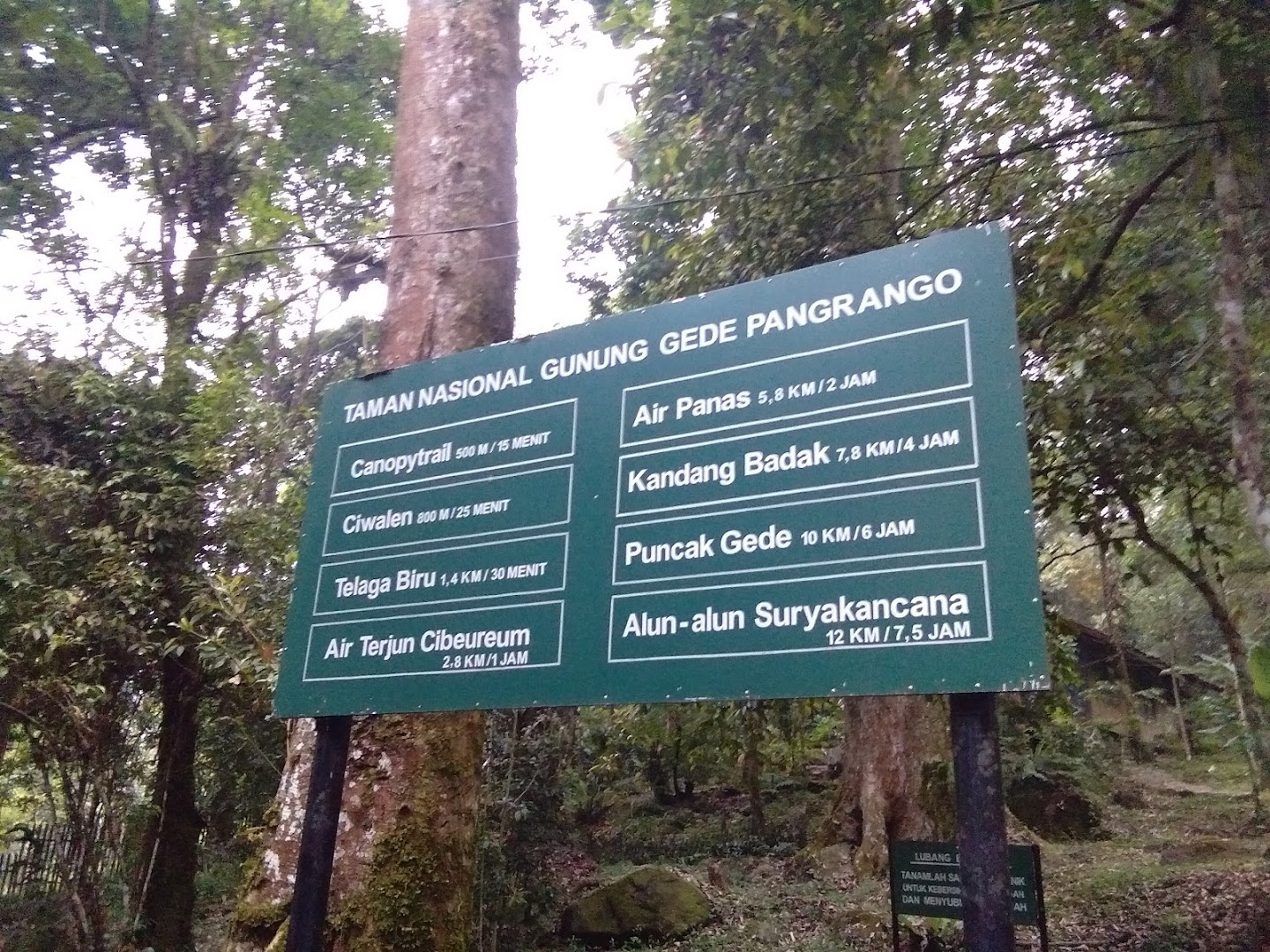 Gambar Taman Nasional Gunung Gede Pangrango