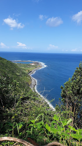 Comentários e avaliações sobre o Sailing Adventure Azores - Pete Keeping Lda