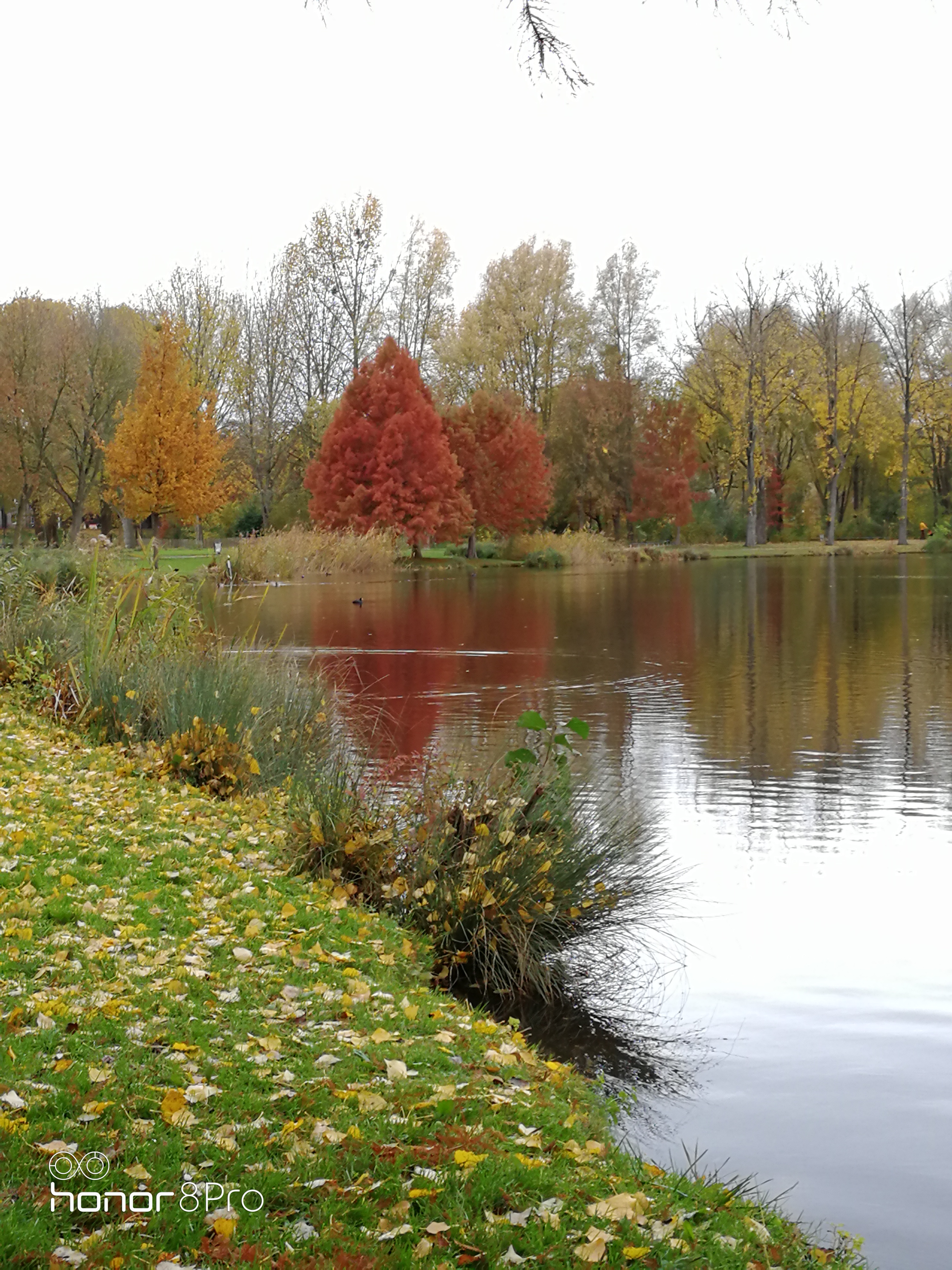 Photo n° 13 de l'avis de Carl.U fait le 08/12/2018 à 19:37