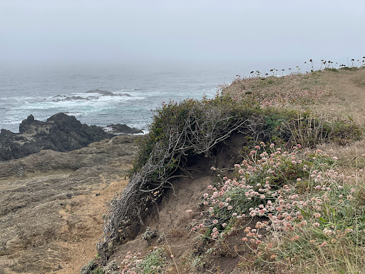 Museum «Lightkeepers Museum», reviews and photos, 45300 Lighthouse Rd, Mendocino, CA 95460, USA