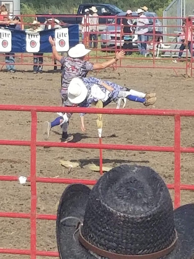 Outdoor Sports Store «Ho Chunk Sports and Expo Center», reviews and photos, 10 Southland Dr, Lynwood, IL 60411, USA