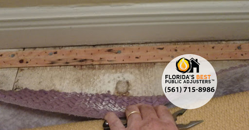 Insurance Agency «Floridas Best Public Adjusters», reviews and photos