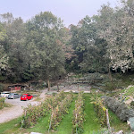 Photo n°4 de l'avis de Sascha.� fait le 15/10/2023 à 15:51 sur le  Agriturismo Il Talento Nella Quiete à Castiglione d'Intelvi