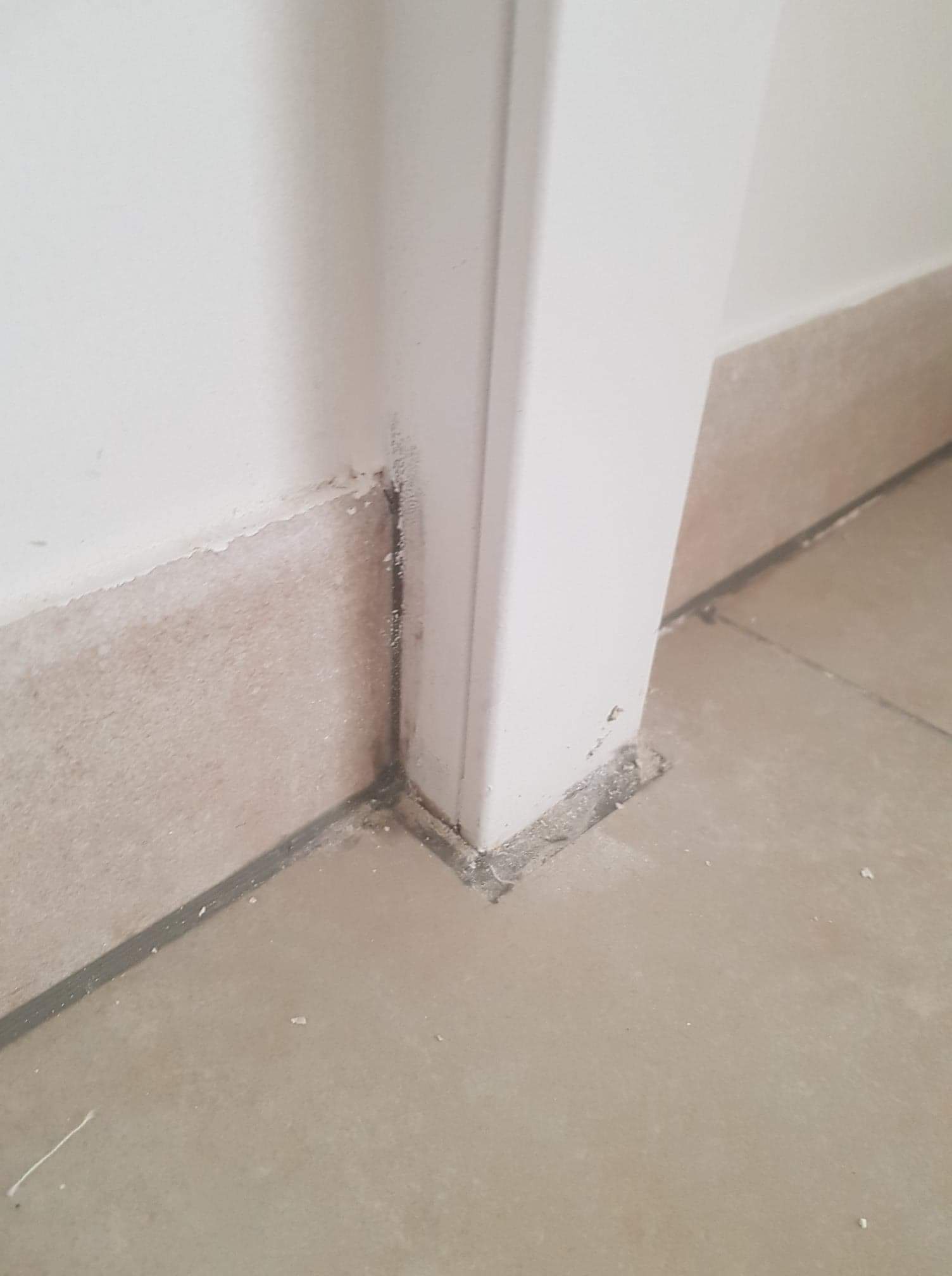 Photo n° 4 de l'avis de Erwan.a fait le 03/09/2023 à 12:43
