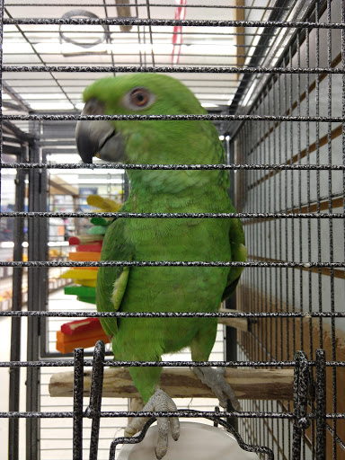 Pet Store «Pet World Warehouse Outlet», reviews and photos, 2148 W Beltline Hwy, Madison, WI 53713, USA