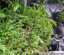 Beji Hill Waterfall photo