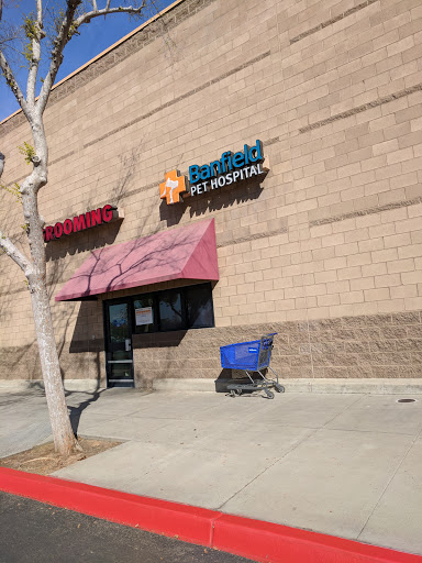 Pet Supply Store «PetSmart», reviews and photos, 3220 W Shaw Ave, Fresno, CA 93711, USA