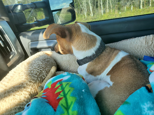 Nature Preserve «Grassy Waters Preserve», reviews and photos, 8264 Northlake Blvd, West Palm Beach, FL 33412, USA