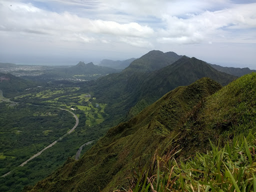 Bowman Trail Lookout