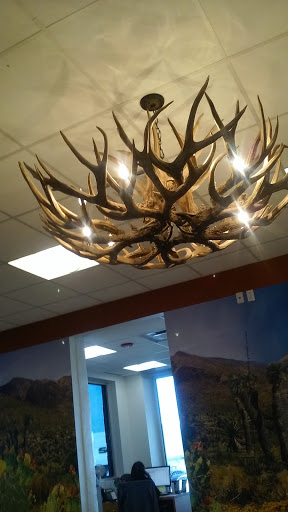 Used Car Dealer «FOX Toyota of El Paso», reviews and photos, 11165 Gateway Blvd W, El Paso, TX 79935, USA