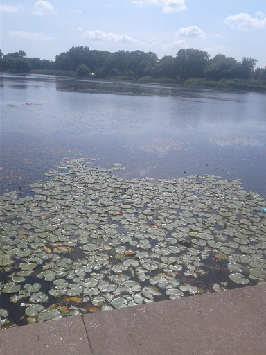 Park «Baisley Pond Park», reviews and photos, Baisley Blvd, Jamaica, NY 11434, USA