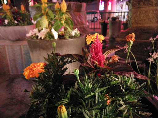 Coffee Shop «Starbucks», reviews and photos, 4930 Dublin Blvd #500, Dublin, CA 94568, USA