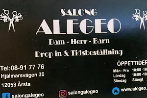 salon Alegeo image