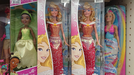 Discount Store «Big Lots», reviews and photos, 3140 Lohr Rd, Ann Arbor, MI 48108, USA