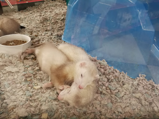 Pet Supply Store «Petco Animal Supplies», reviews and photos, 119 First St, Cambridge, MA 02141, USA