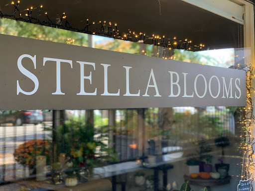 Stella Blooms