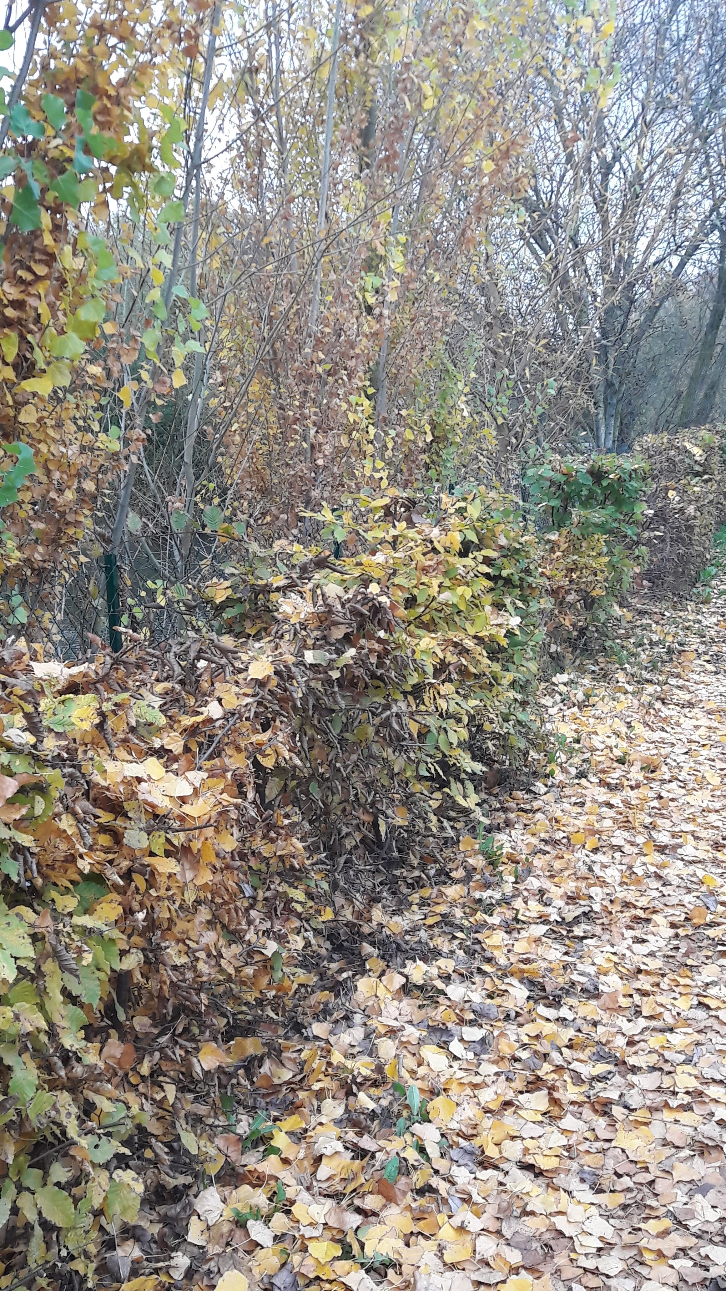 Photo n° 6 de l'avis de MISS.O fait le 06/11/2020 à 10:05