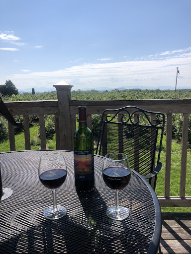 Winery «Charlotte Village Winery», reviews and photos, 3968 Greenbush Rd, Charlotte, VT 05445, USA