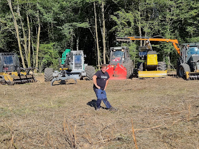 Arbo Environnement à Saint-Germain-du-Bois