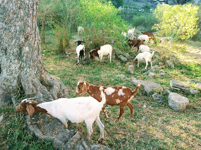 Carnicería 'El chino'