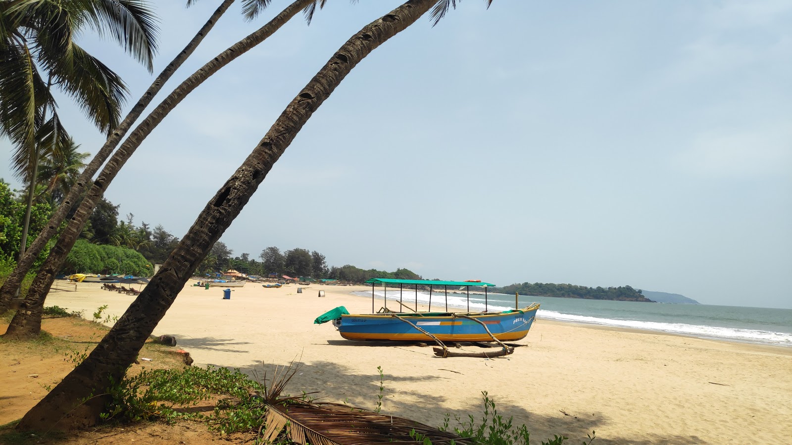Patnem Beach'in fotoğrafı - tatil için iyi evcil hayvan dostu nokta