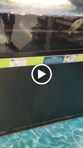 Pet Supply Store «Petco Animal Supplies», reviews and photos, 1660 Orchard Gateway Blvd, North Aurora, IL 60542, USA