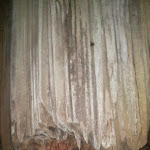 Photo n°8 de l'avis de Sabino.o fait le 15/08/2018 à 14:17 sur le  Oasi degli alburni à Postiglione