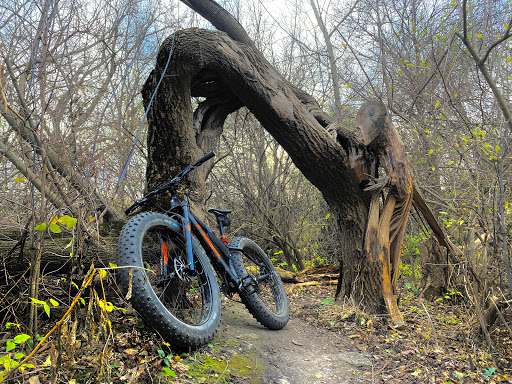 Bicycle Store «Richards Bicycles», reviews and photos, 11933 Harlem Ave, Palos Heights, IL 60463, USA