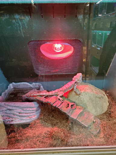 Pet Store «Sierra Fish and Pets», reviews and photos, 601 S Grady Way Suite M, Renton, WA 98057, USA