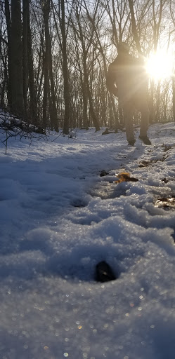 Park «Beech Woods Park», reviews and photos, 137 Beekman Rd, Kendall Park, NJ 08824, USA