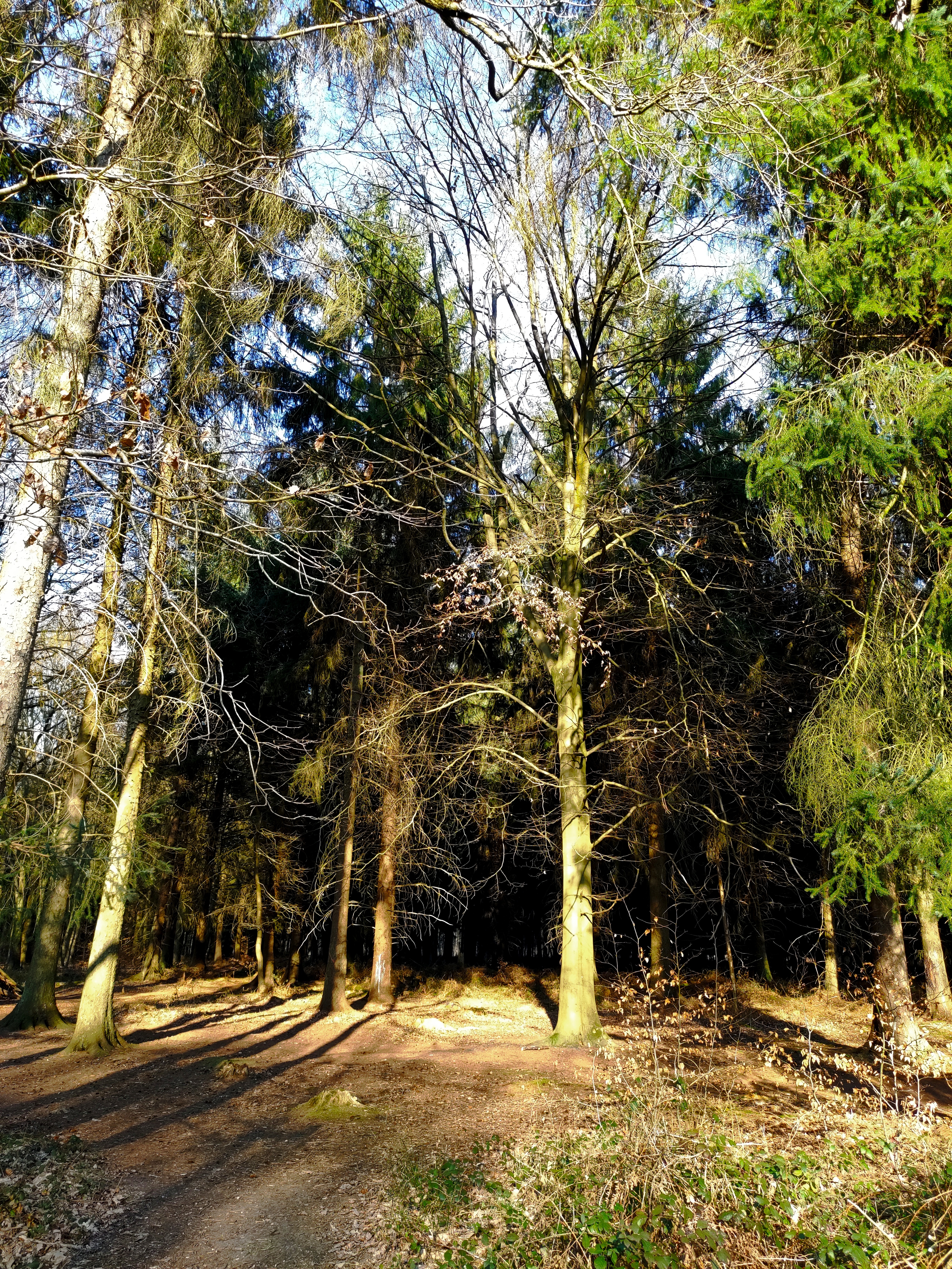 Photo n° 2 de l'avis de Alicia.� fait le 20/03/2021 à 22:35