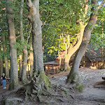 Photo n°2 de l'avis de Karina.r fait le 17/07/2022 à 14:26 sur le  Kelle -Teufelskanzel à 