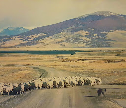 La Estancia Gaucha photo