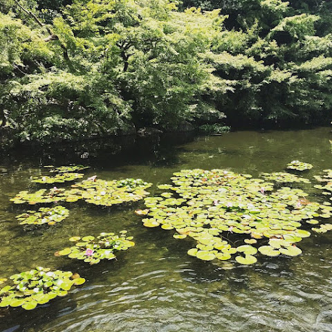 Tokugawa Park by null