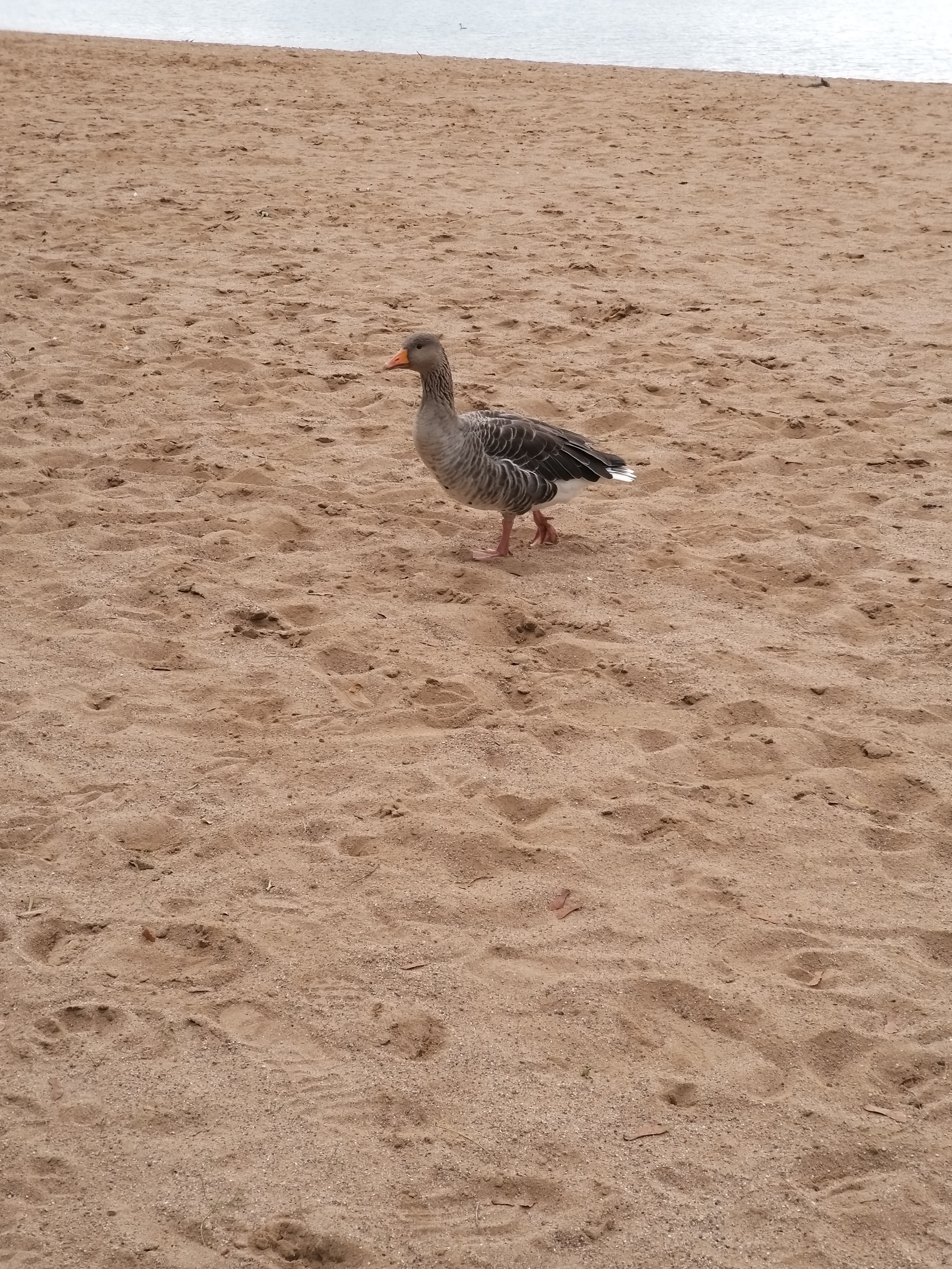 Photo n° 3 de l'avis de Alain.i fait le 03/11/2020 à 11:53