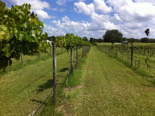 Winery «Hutchinson Farm Winery, LLC», reviews and photos, 8061 Stone Rd, Apopka, FL 32703, USA