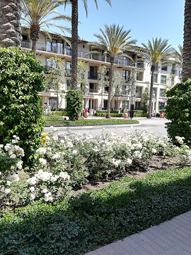 Irvine Village Market image