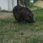 Photo n°2 de l'avis de Matthias.e fait le 30/07/2018 à 16:02 sur le  Agriturismo Gummererhof à Brixen