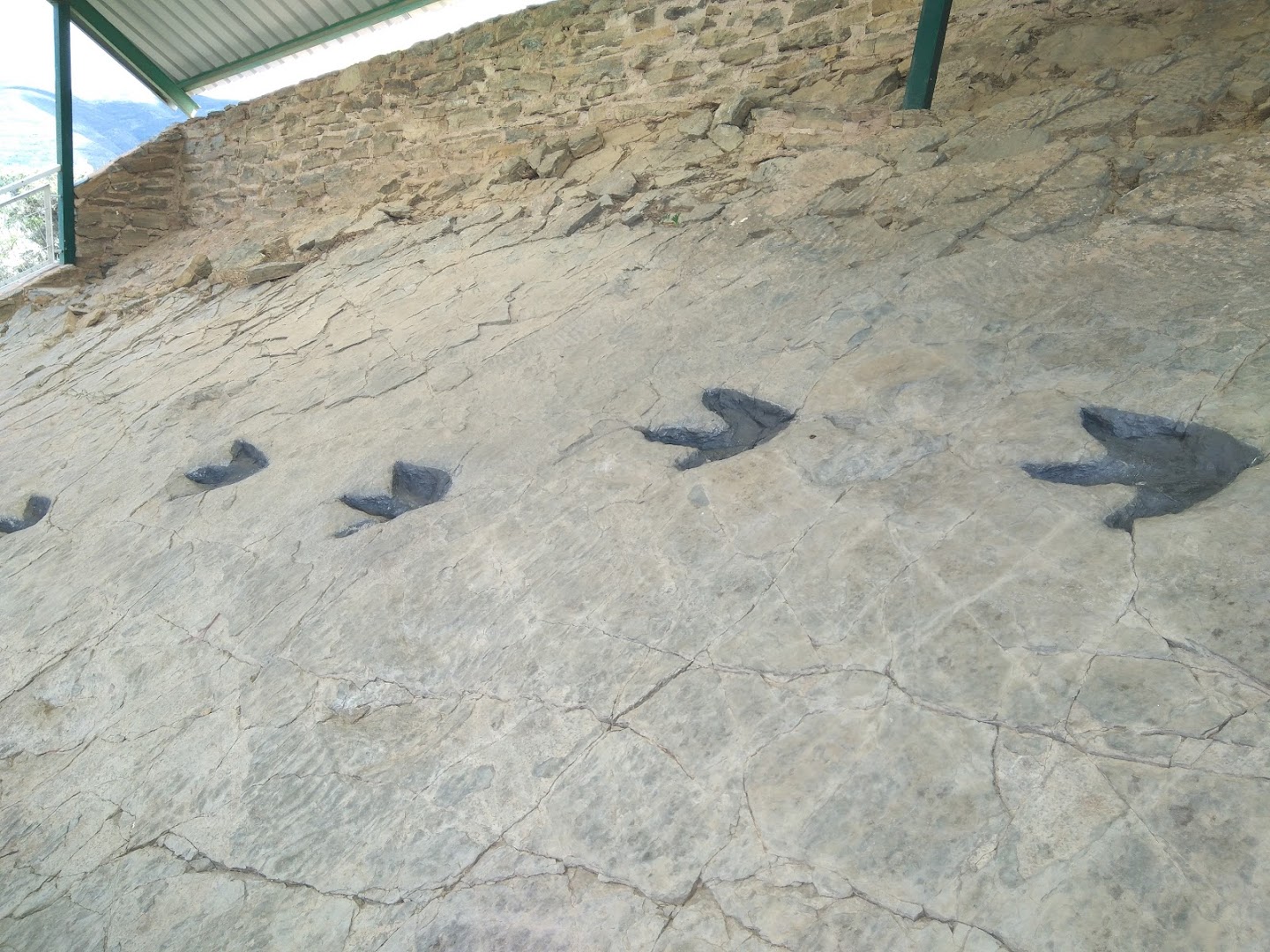 Yacimiento "Los Cayos"