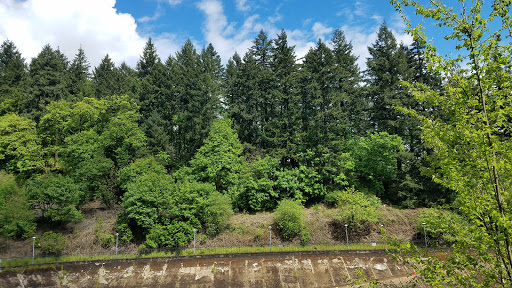 Park «Kern Park», reviews and photos, SE 67th Ave & Center St, Portland, OR 97206, USA