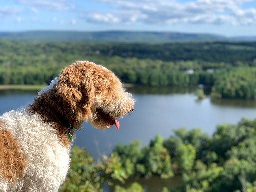 Nature Preserve «Ragged Mountain Memorial Preserve», reviews and photos, 240 Kensington Rd, Berlin, CT 06037, USA