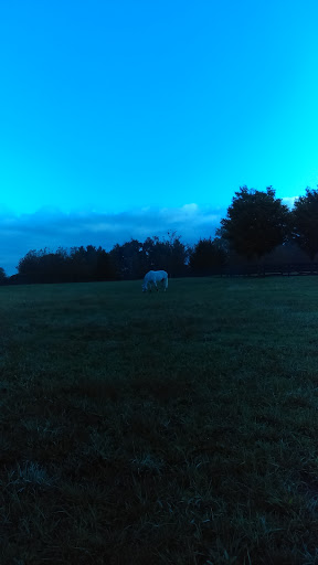 Festival «Temple Hall Fall Festival & Corn Maize», reviews and photos, 15855 Limestone School Rd, Leesburg, VA 20176, USA
