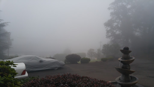 Park «Mary S. Young Park», reviews and photos, 19900 Willamette Dr, West Linn, OR 97068, USA