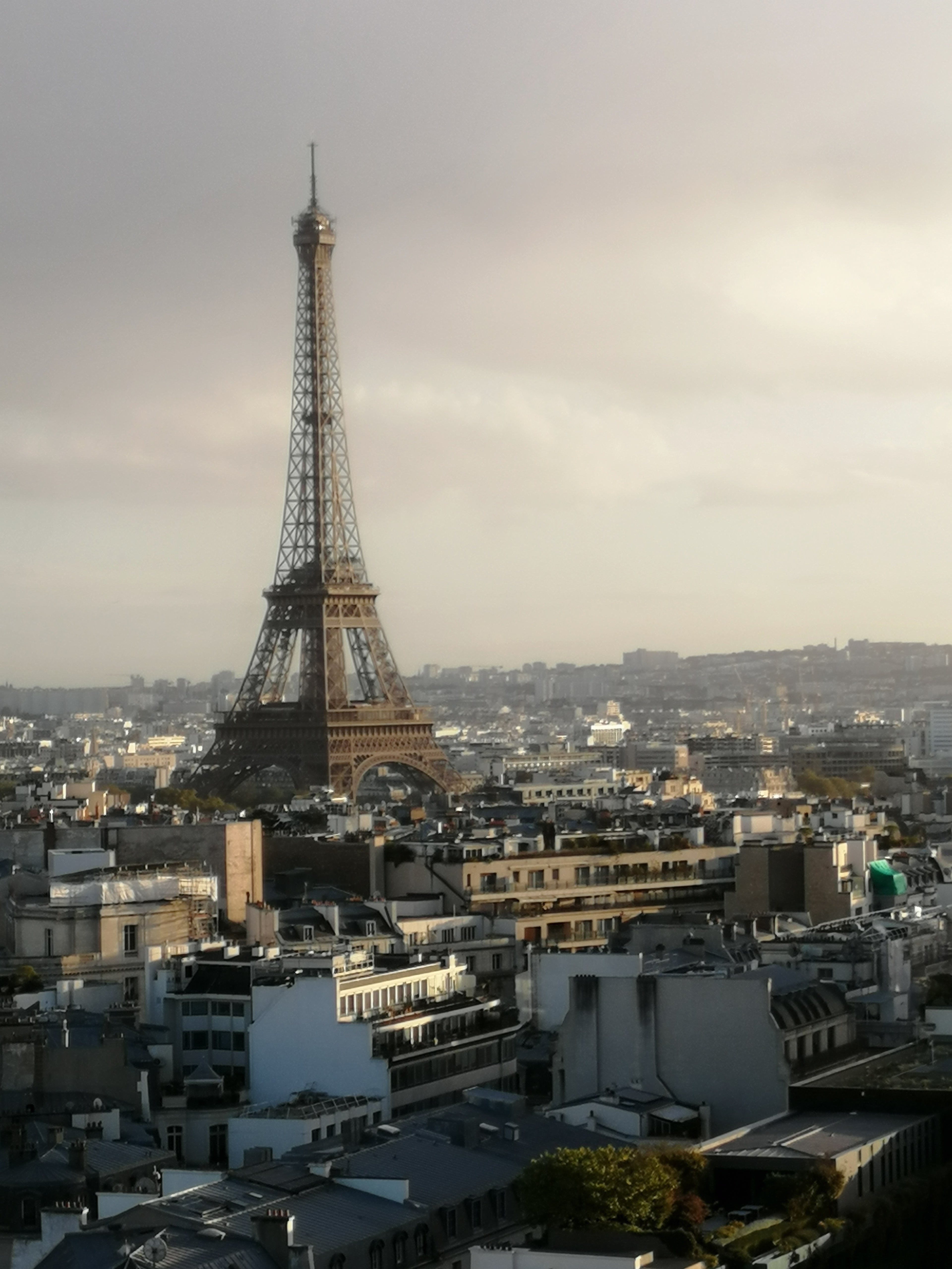 Photo n° 15 de l'avis de Atlas. fait le 22/10/2023 à 15:55