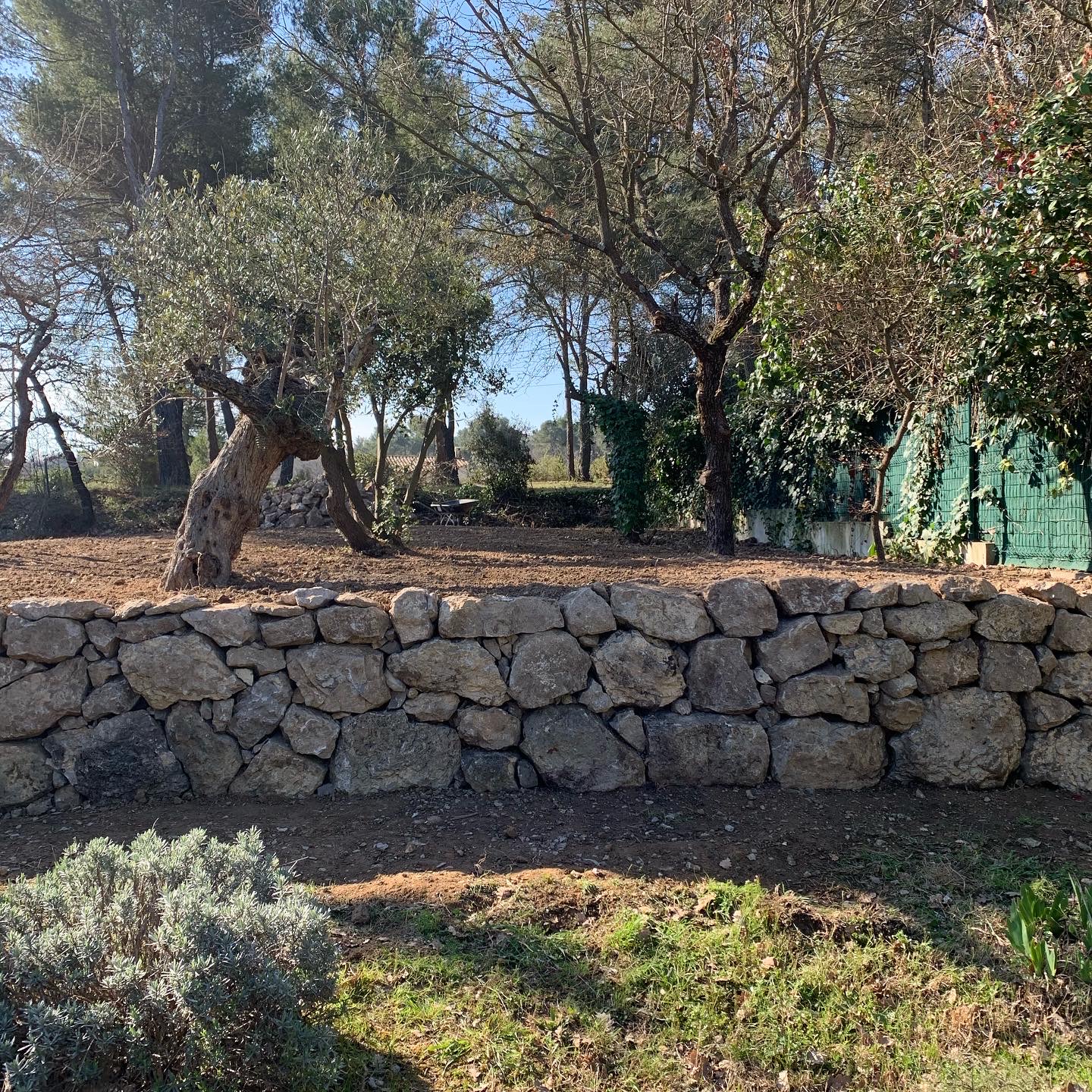 Photo n° 1 de l'avis de Cecile.I fait le 10/03/2021 à 15:07