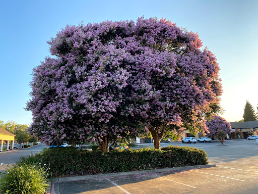 Shopping Mall «Vacaville Premium Outlets», reviews and photos, 321 Nut Tree Rd, Vacaville, CA 95687, USA