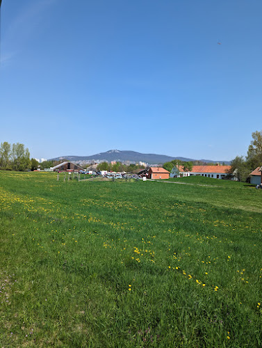 Slovenské poľnohospodárske múzeum (B5) - Múzeum