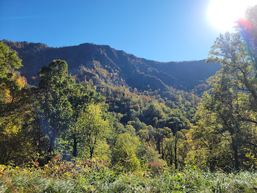 National Park «Great Smoky Mountains National Park», reviews and photos