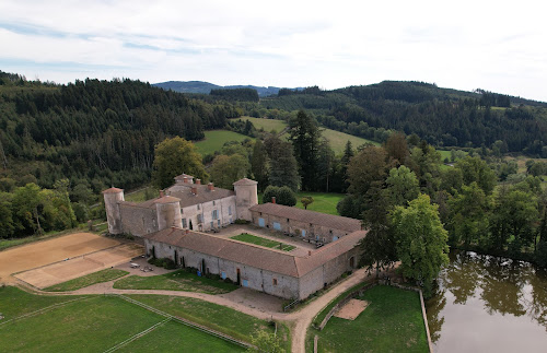 Gîte du château de Fougères à Poule-les-Écharmeaux